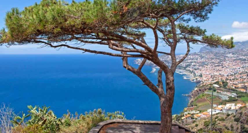 Berco Funchal Villa Exteriör bild